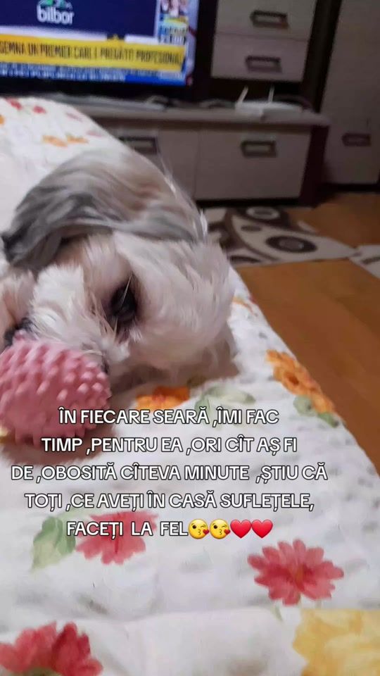 TikTok video thumbnail by adrianei3