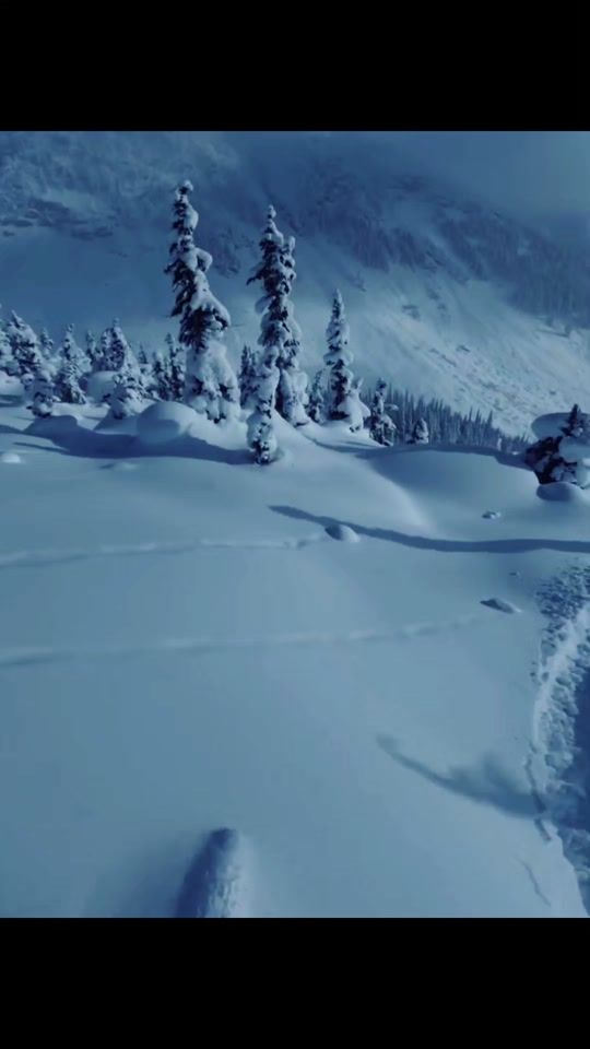 TikTok video thumbnail by fortius12_