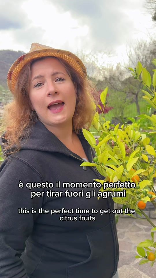 TikTok video thumbnail by icookwithnature