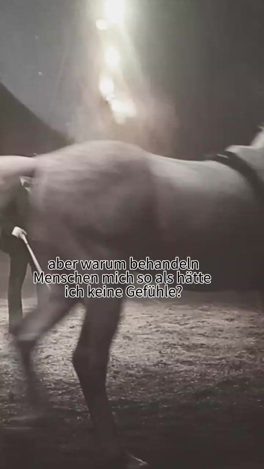 TikTok video thumbnail by eleni628363920