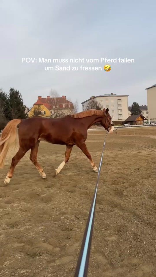 TikTok video thumbnail by about.carino