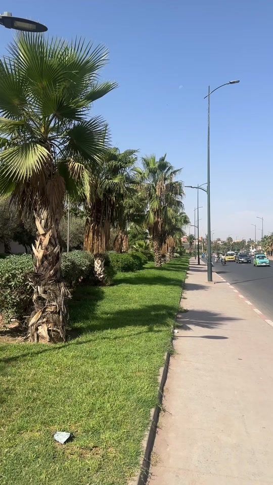 TikTok video thumbnail by zamirsaakin
