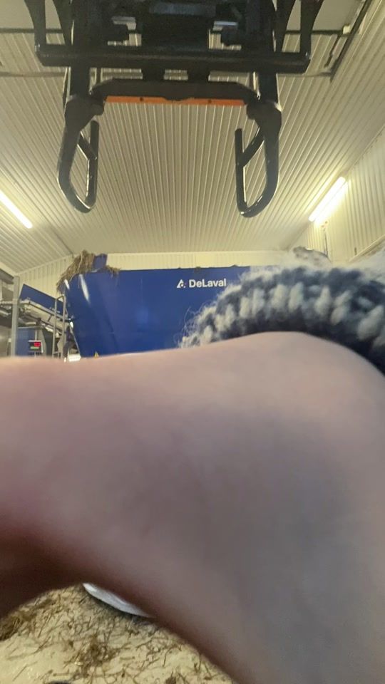 TikTok video thumbnail by mildrideinmo
