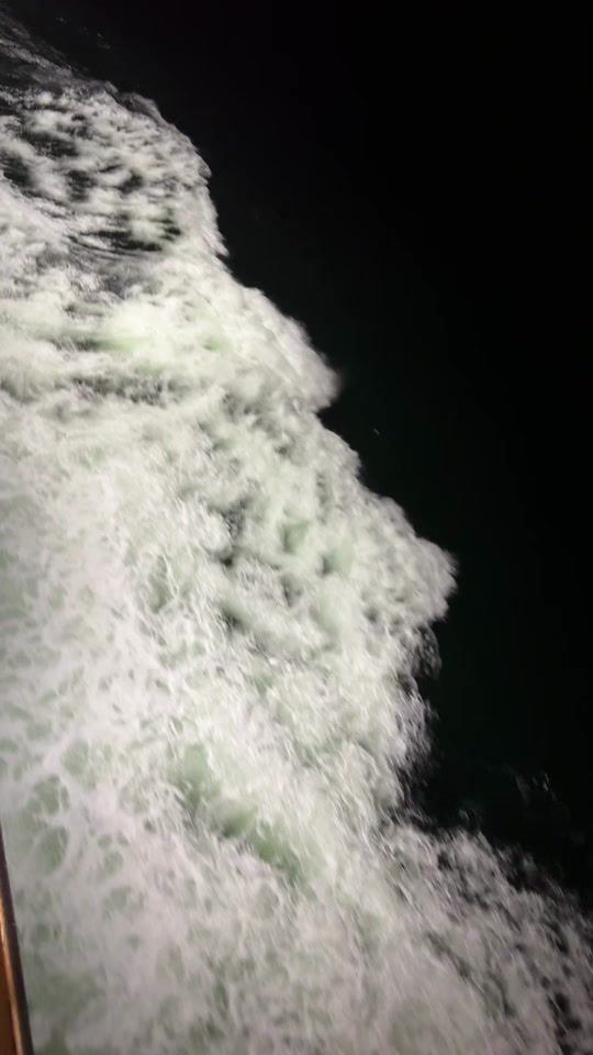 TikTok video thumbnail by burtenekat
