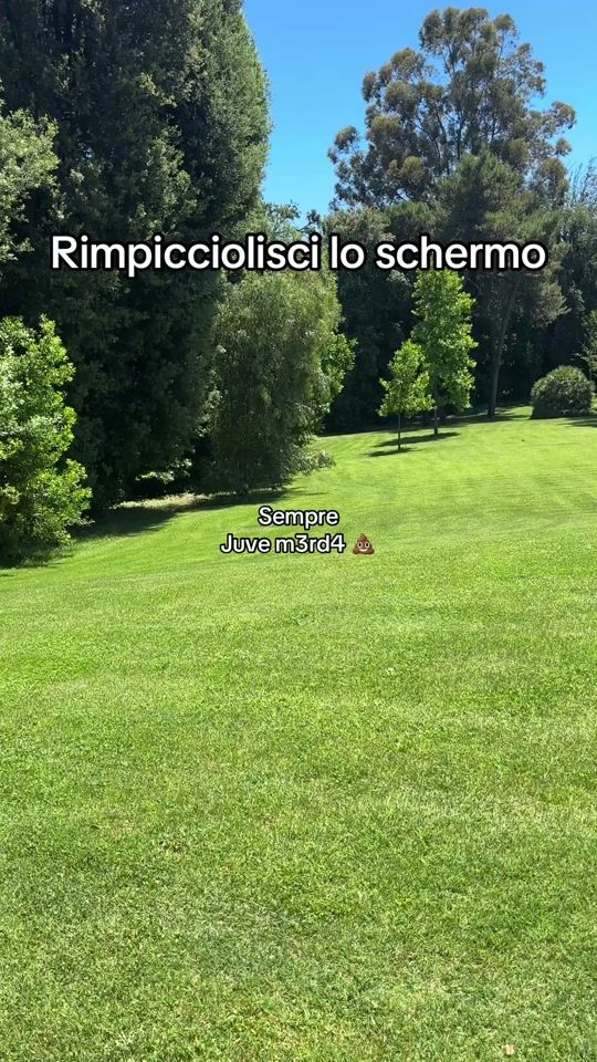 TikTok video thumbnail by giolui94