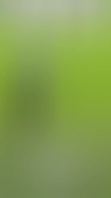TikTok video thumbnail by peohauu