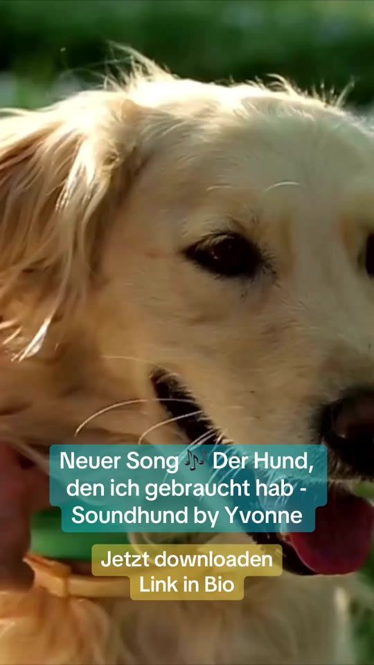 TikTok video thumbnail by hundesongs