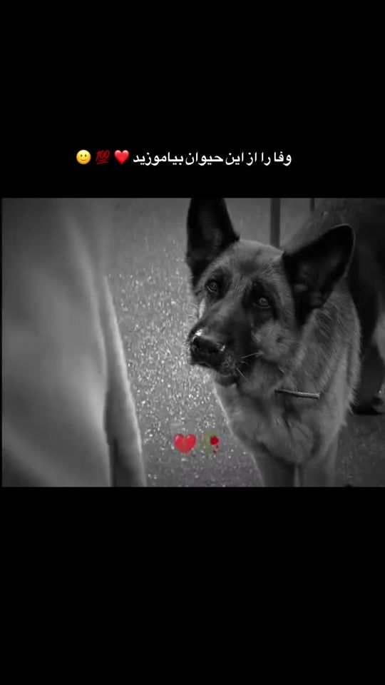TikTok video thumbnail by emir.23_0