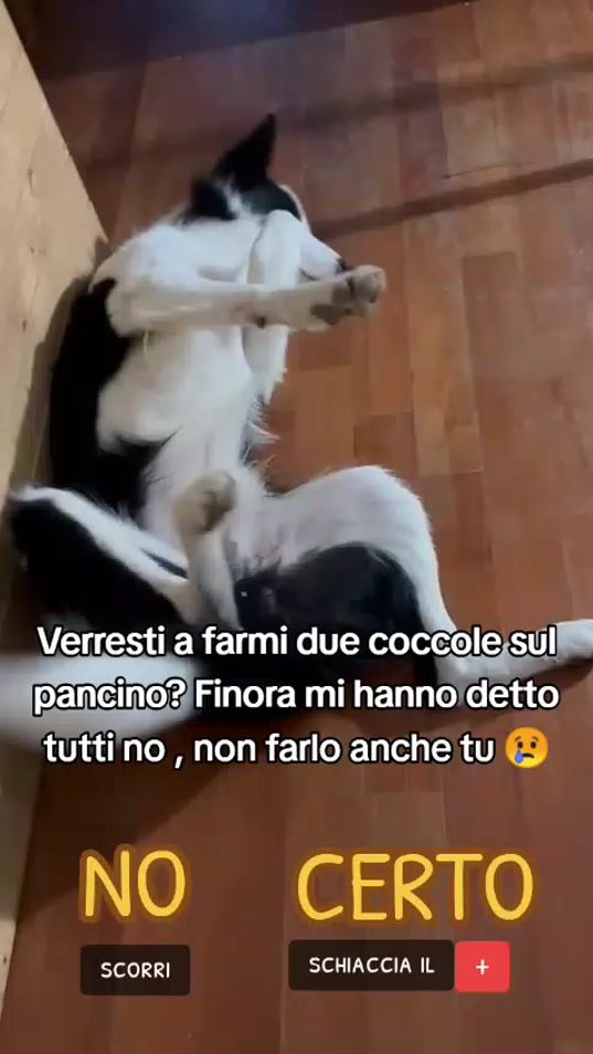 TikTok video thumbnail by lilly.chloe2023
