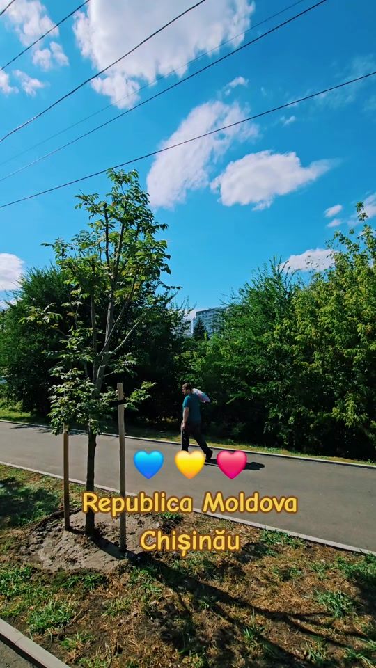 TikTok video thumbnail by livandovschiradu1