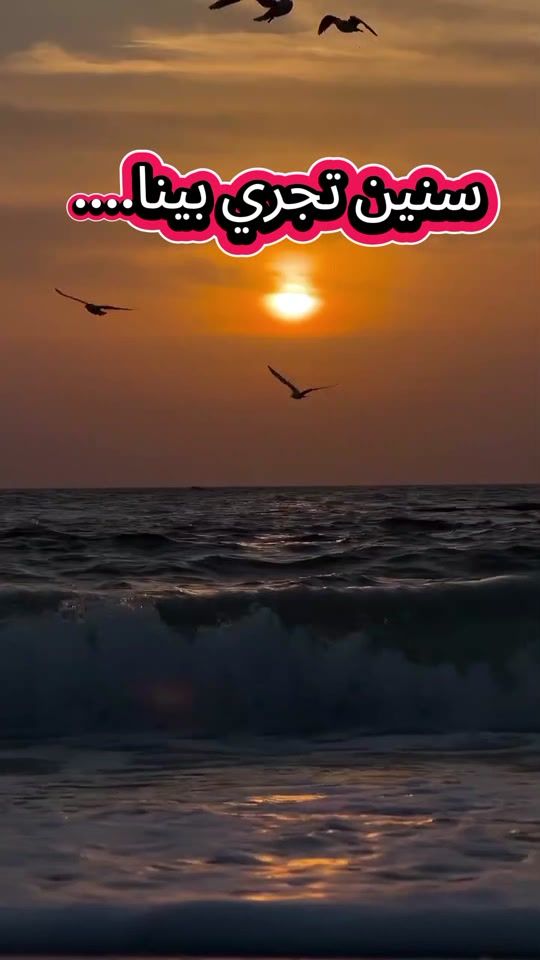 TikTok video thumbnail by wajdi.sd0
