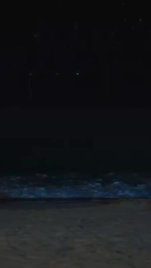 TikTok video thumbnail by gdragonxh