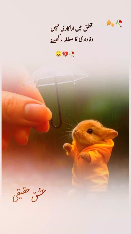 TikTok video thumbnail by ishq_e_haqiqi93