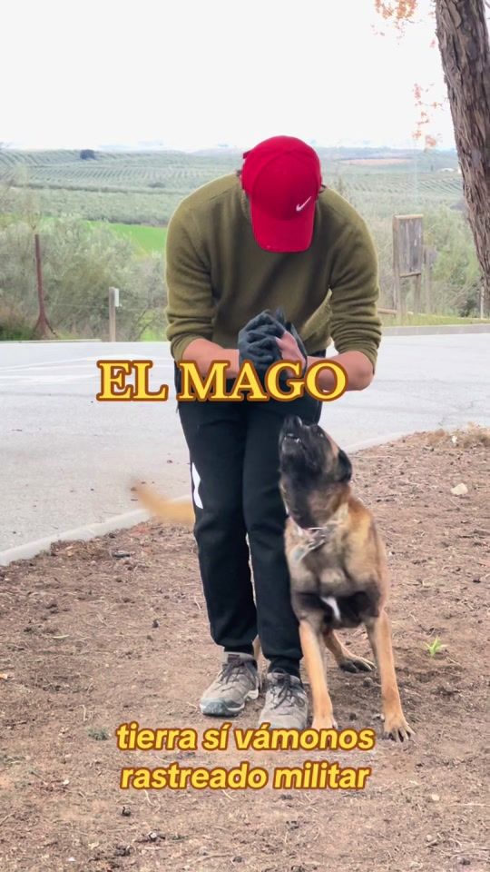 TikTok video thumbnail by el_mago._