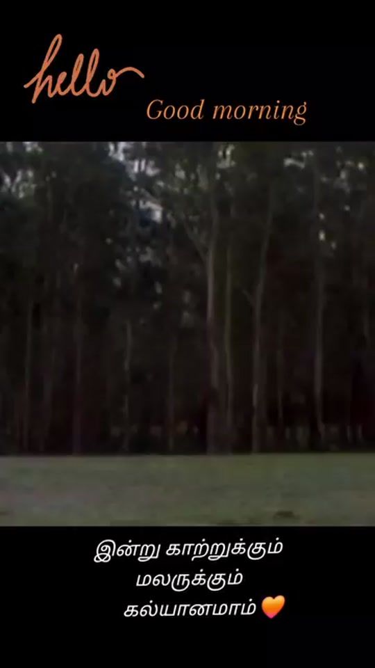 TikTok video thumbnail by isai_atuvi