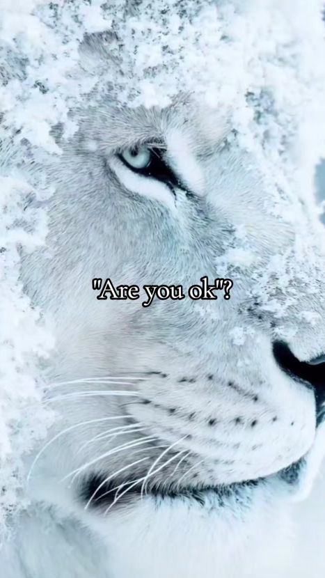 TikTok video thumbnail by mentalhealth_lions_