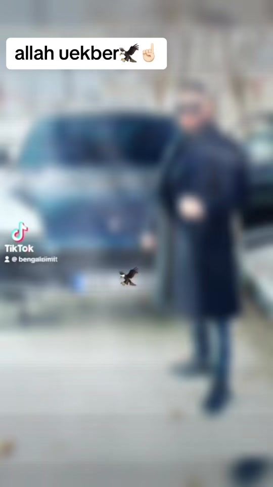 TikTok video thumbnail by bengaloimit