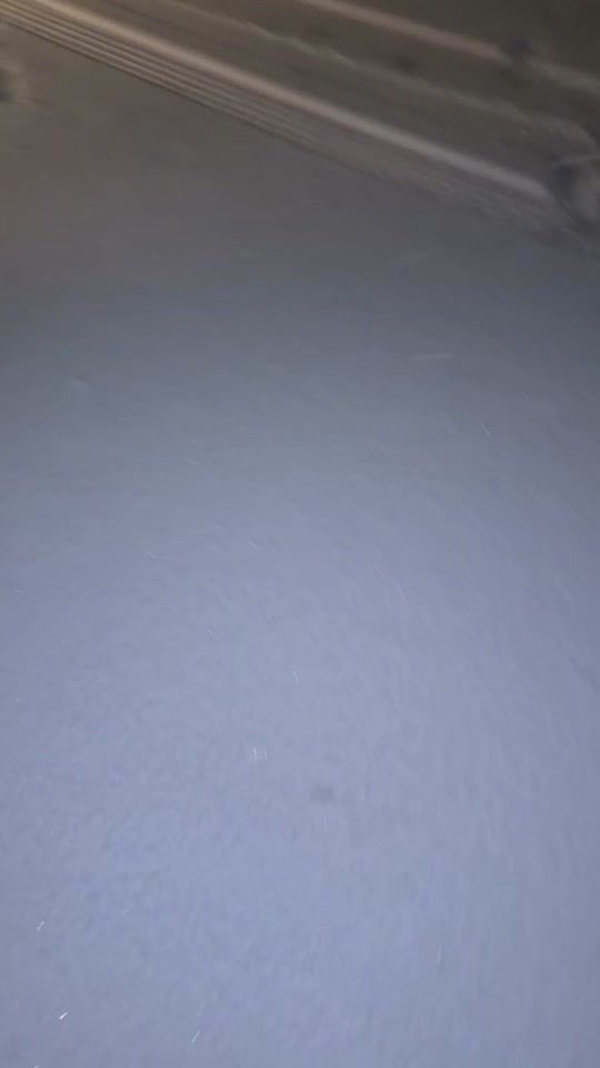 TikTok video thumbnail by halaz.jan