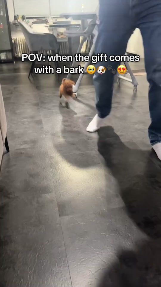TikTok video thumbnail by vanessaglowmind