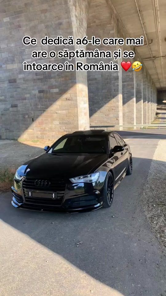 TikTok video thumbnail by hory_horatiu77