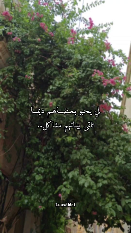 TikTok video thumbnail by luuxdido