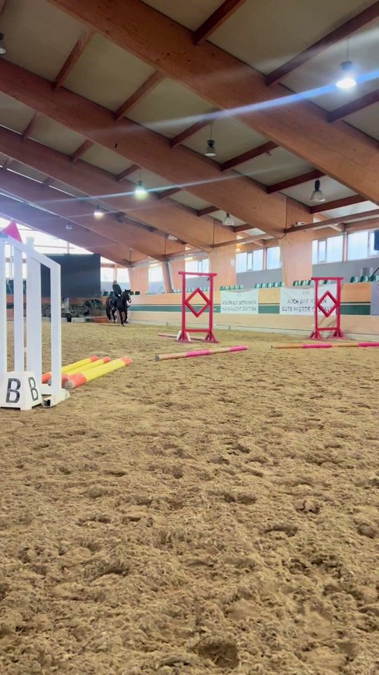 TikTok video thumbnail by flipsi.showjumping