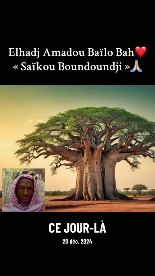 TikTok video thumbnail by ibrahimadalein1