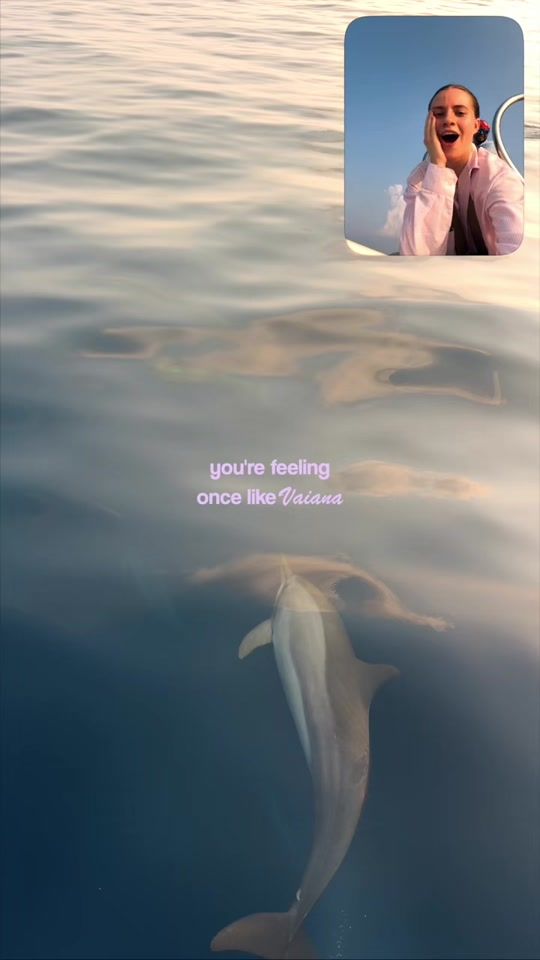 TikTok video thumbnail by lisamarie_schiffner