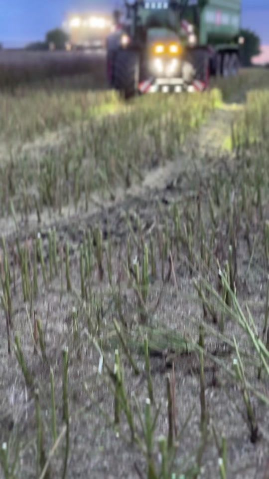 TikTok video thumbnail by max.kft01