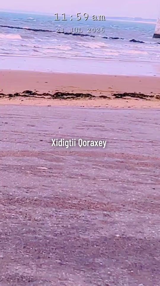 TikTok video thumbnail by xidigtiiqoraxey123