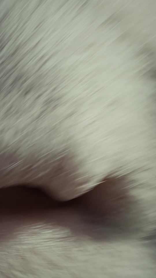 TikTok video thumbnail by sonypictures.uk