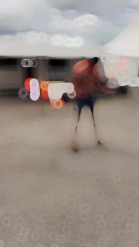 TikTok video thumbnail by masimo536