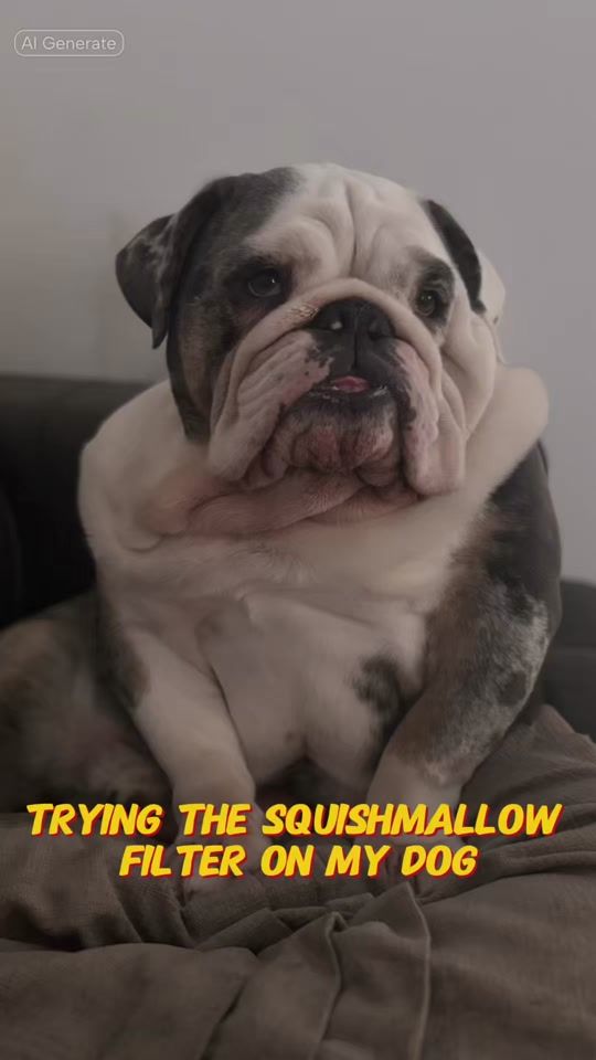 TikTok video thumbnail by rhinothemerlebritishbull