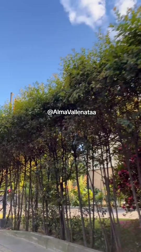 TikTok video thumbnail by almavallenataa