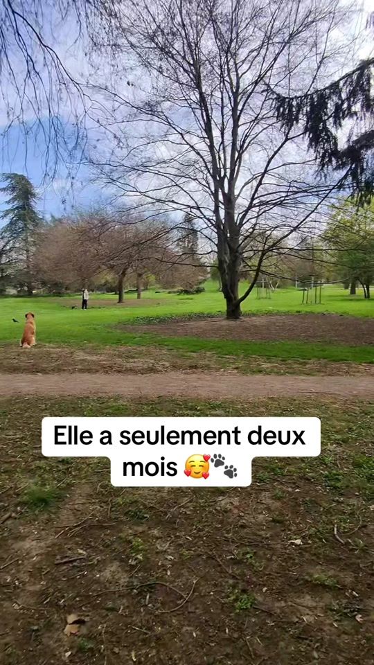 TikTok video thumbnail by aikolegolden