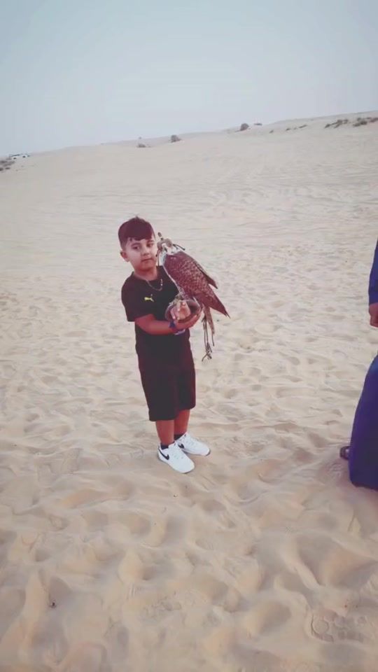 TikTok video thumbnail by iraq.040