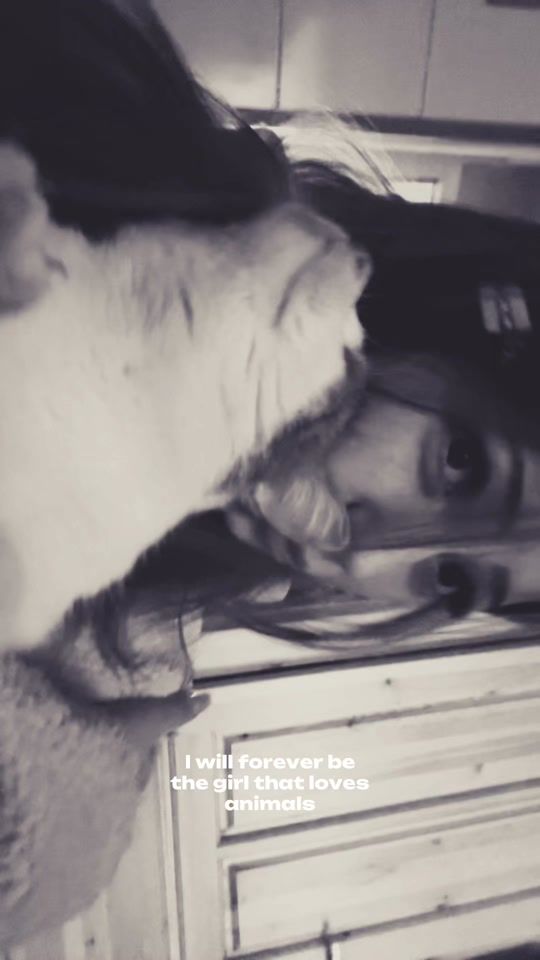TikTok video thumbnail by vikatzee