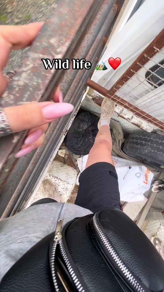 TikTok video thumbnail by japonaise__