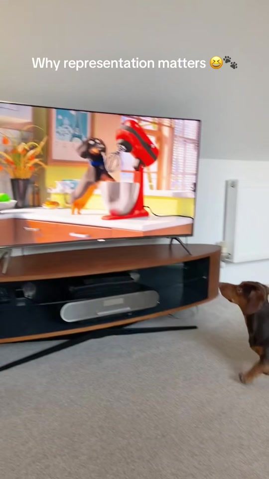 TikTok video thumbnail by sausagehouse_