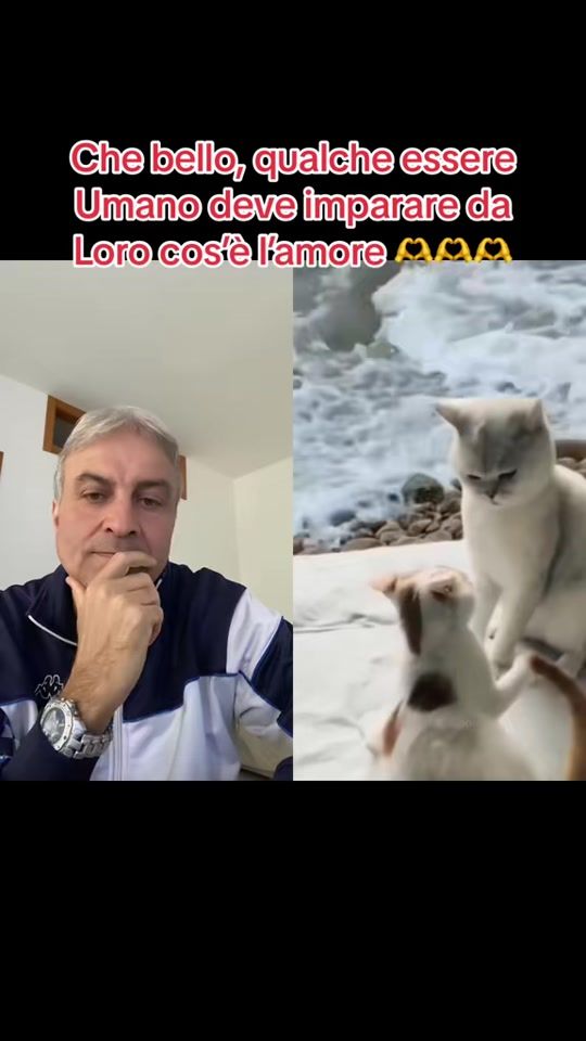 TikTok video thumbnail by vitoall