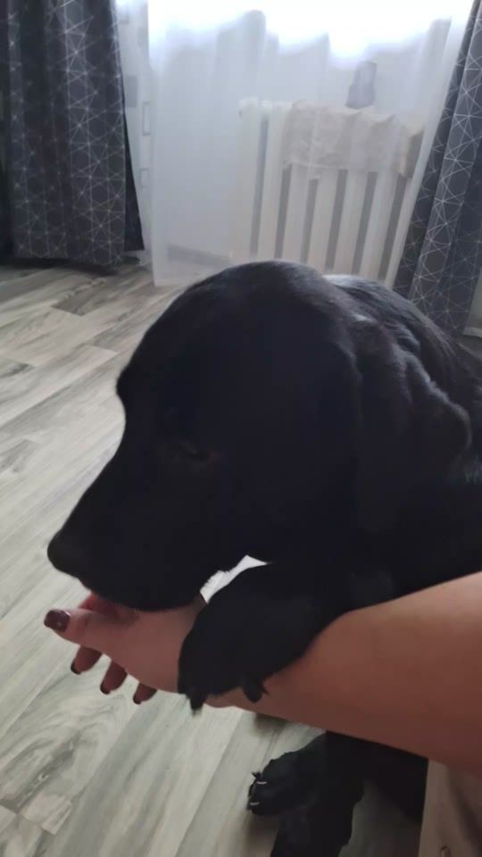 TikTok video thumbnail by 1_olja_1