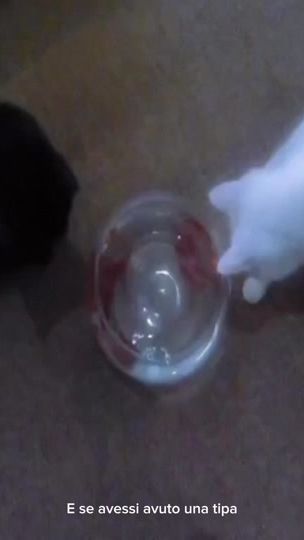 TikTok video thumbnail by mosybeatz