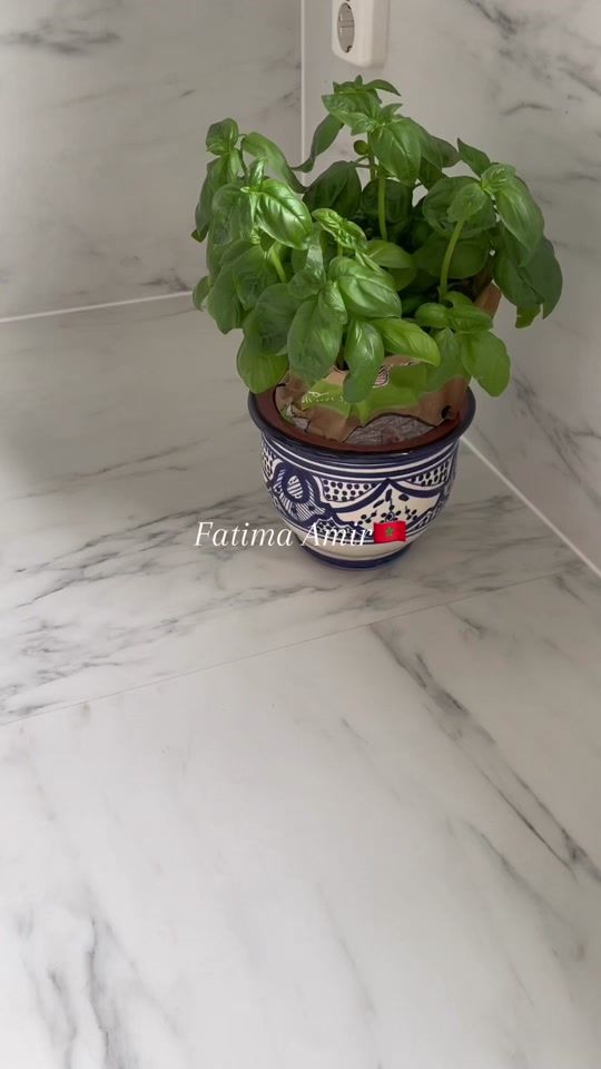 TikTok video thumbnail by f.harit8