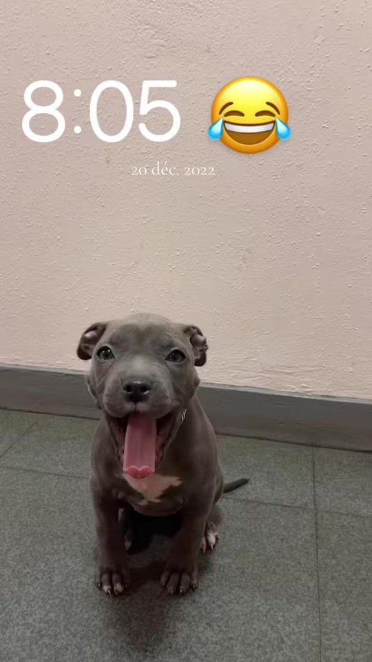 TikTok video thumbnail by gev.09.09