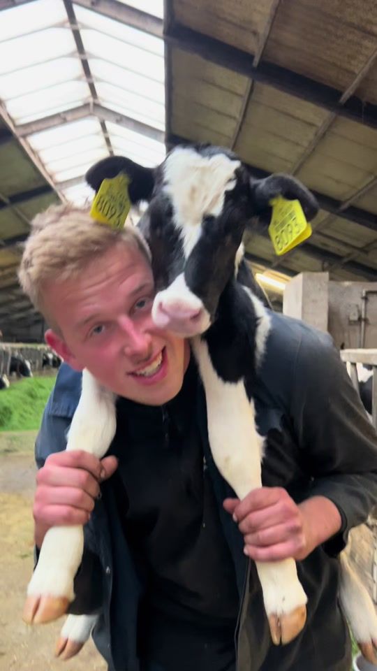 TikTok video thumbnail by grietinee