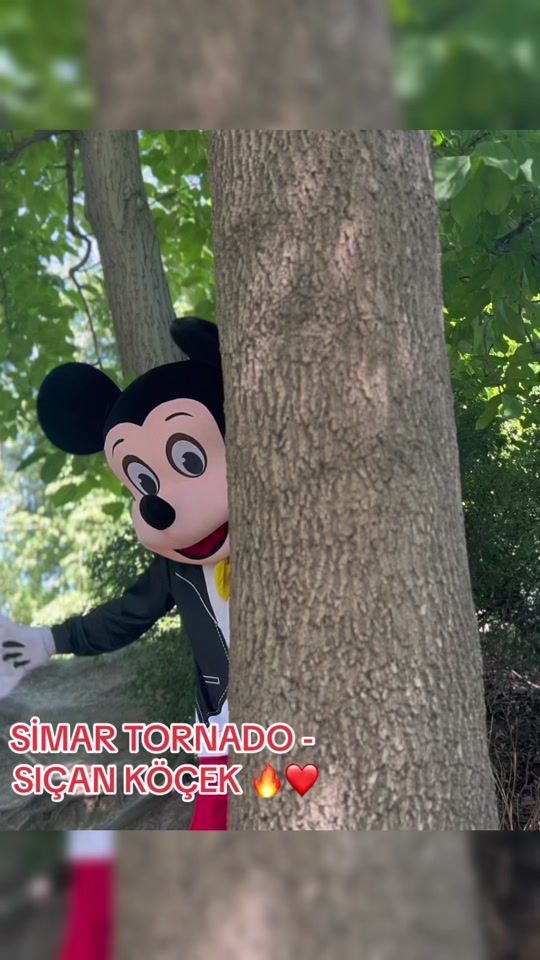 TikTok video thumbnail by simar_tornado