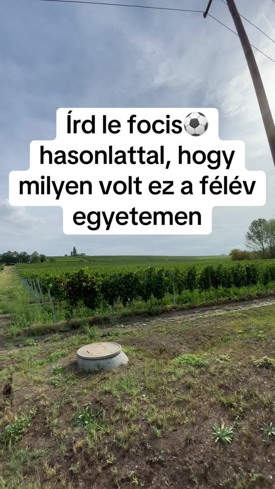TikTok video thumbnail by bepisalok