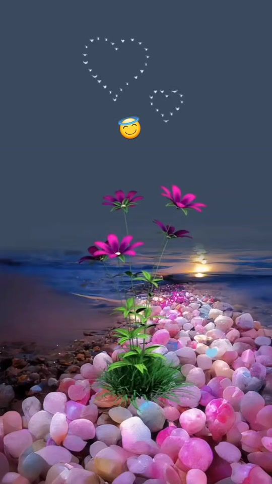 TikTok video thumbnail by bougafri