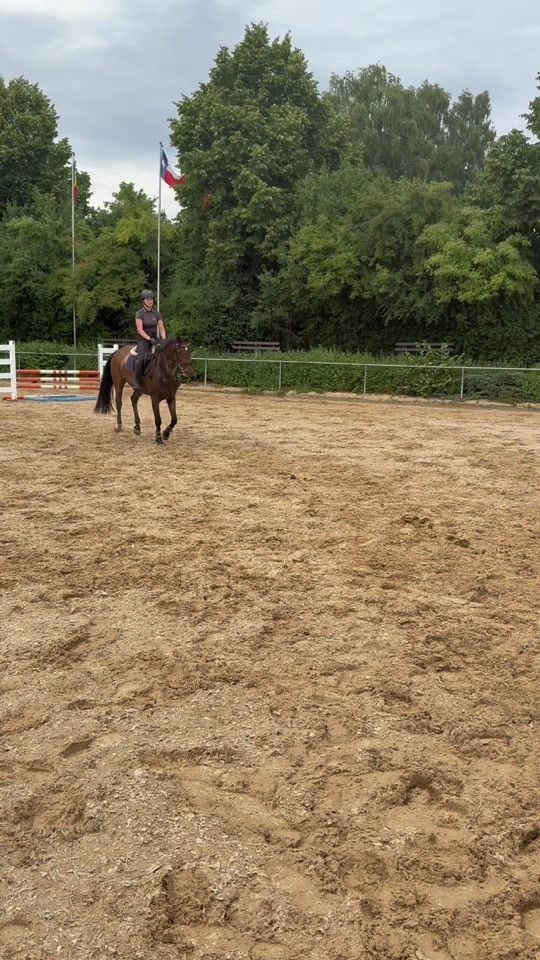 TikTok video thumbnail by helenas_hot_horses