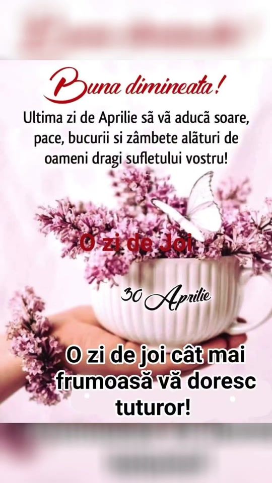 TikTok video thumbnail by stama.52